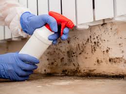 Mold Odor Removal Services in Nocona, TX